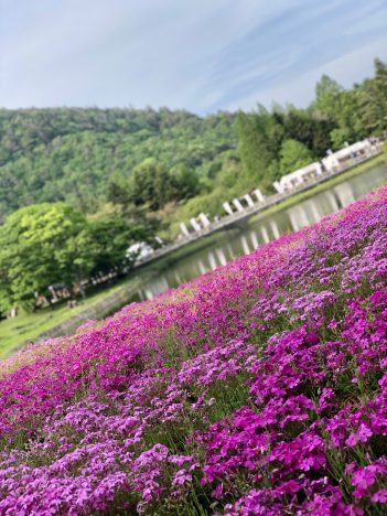 感動となるほどと思った話