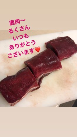 減量ごはん鹿肉ハンバーグ